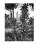 Page: - 66 | Aperture