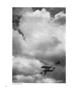 Page: - 80 | Aperture