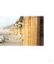 Page: - 41 | Aperture
