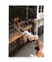 Page: - 43 | Aperture