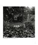 Page: - 73 | Aperture