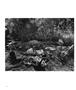 Page: - 16 | Aperture