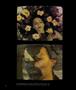 Page: - 62 | Aperture