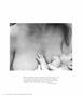 Page: - 91 | Aperture