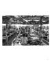 Page: - 13 | Aperture