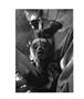 Page: - 20 | Aperture