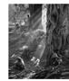 Page: - 22 | Aperture