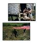 Page: - 38 | Aperture