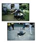 Page: - 39 | Aperture