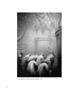 Page: - 52 | Aperture