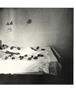 Page: - 21 | Aperture