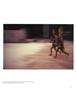 Page: - 41 | Aperture