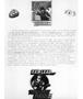 Page: - 19 | Aperture