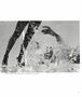 Page: - 16 | Aperture