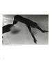 Page: - 31 | Aperture
