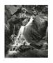 Page: - 35 | Aperture