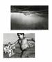 Page: - 53 | Aperture
