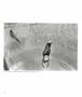 Page: - 75 | Aperture