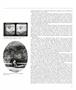 Page: - 84 | Aperture