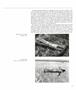 Page: - 88 | Aperture
