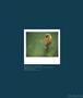 Page: - 98 | Aperture