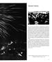 Page: - 21 | Aperture