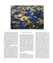Page: - 58 | Aperture