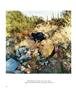 Page: - 66 | Aperture
