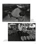 Page: - 29 | Aperture