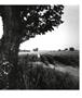 Page: - 3 | Aperture