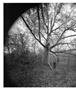 Page: - 38 | Aperture