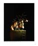 Page: - 47 | Aperture