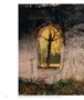 Page: - 54 | Aperture