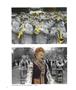 Page: - 12 | Aperture