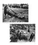 Page: - 27 | Aperture