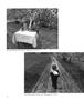 Page: - 28 | Aperture