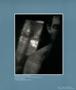 Page: - 82 | Aperture