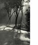 Page: - 29 | Aperture