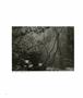 Page: - 66 | Aperture