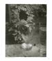 Page: - 67 | Aperture