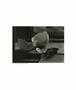 Page: - 71 | Aperture