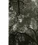 Page: - 78 | Aperture