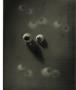 Page: - 101 | Aperture