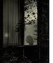 Page: - 110 | Aperture