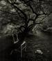 Page: - 115 | Aperture
