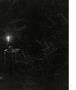 Page: - 119 | Aperture