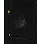 Page: - 120 | Aperture