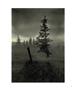 Page: - 123 | Aperture