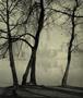Page: - 129 | Aperture