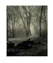 Page: - 142 | Aperture